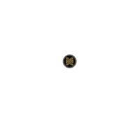 Anner Hotel logo