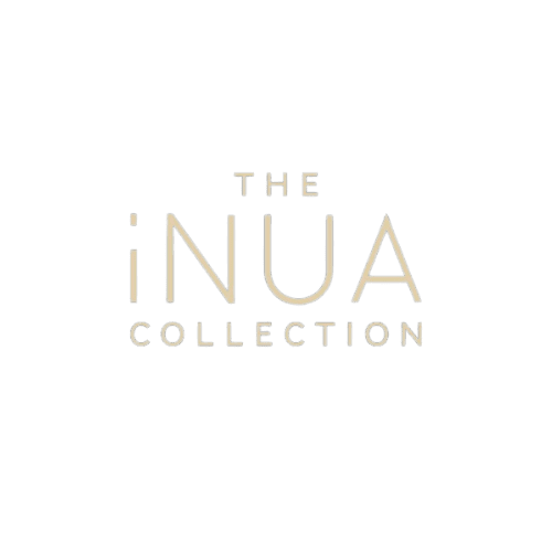 iNUA group logo